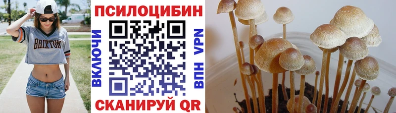 OMG как войти  Острогожск  Галлюциногенные грибы Magic Shrooms 