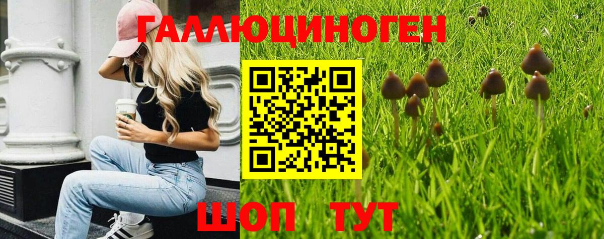 Галлюциногенные грибы прущие грибы  Вход с VPN  Острогожск 
